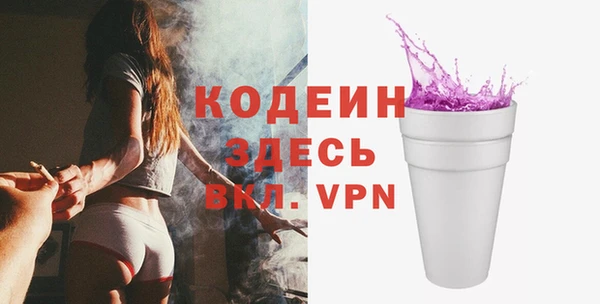 индика Абаза