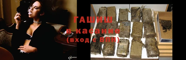 индика Абаза