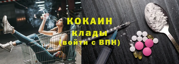 индика Абаза