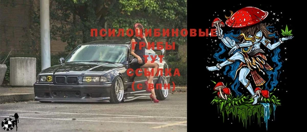 индика Абаза