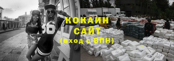 индика Абаза