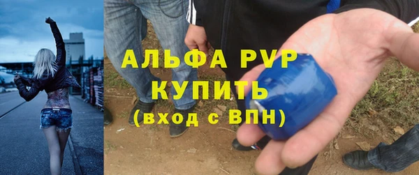 индика Абаза