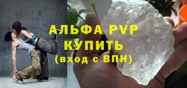 индика Абаза