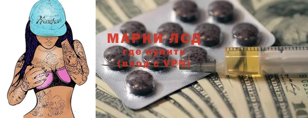 индика Абаза