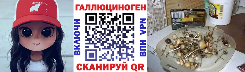 Псилоцибиновые грибы Psilocybe  где можно купить наркотик  Остров 